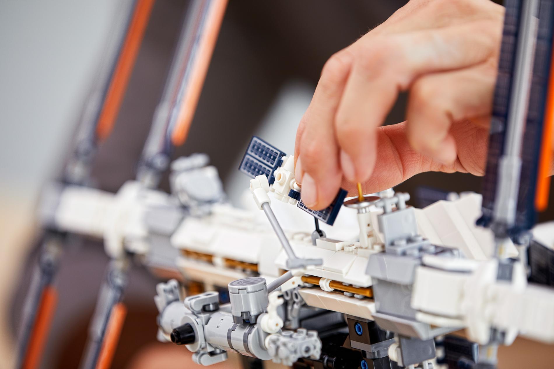 ����������� LEGO 21321 - ���� ������������� ����������� �������