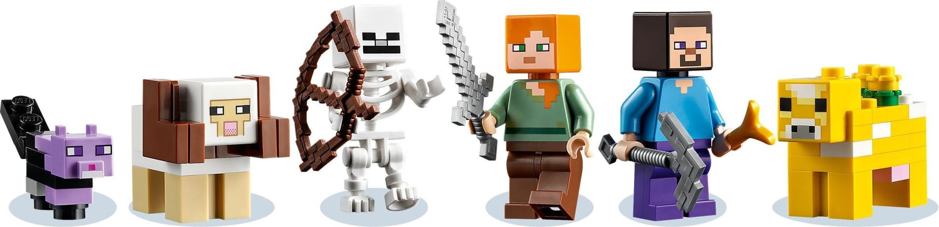 LEGO 21169 - ���� ������ �����������