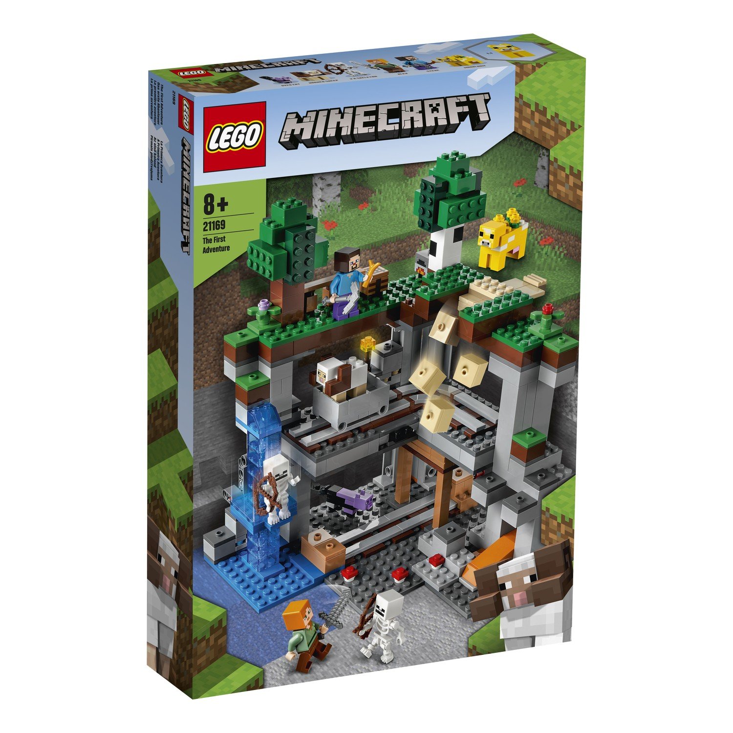 LEGO 21169 - ���� ������ �����������