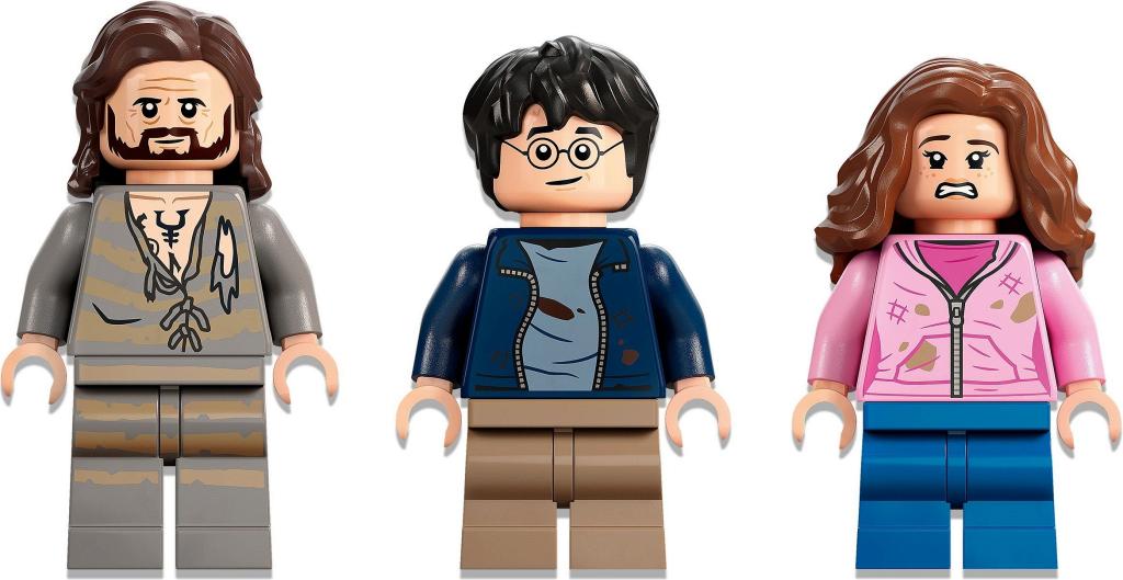 ����������� LEGO Harry Potter 76401 ��������: �������� �������
