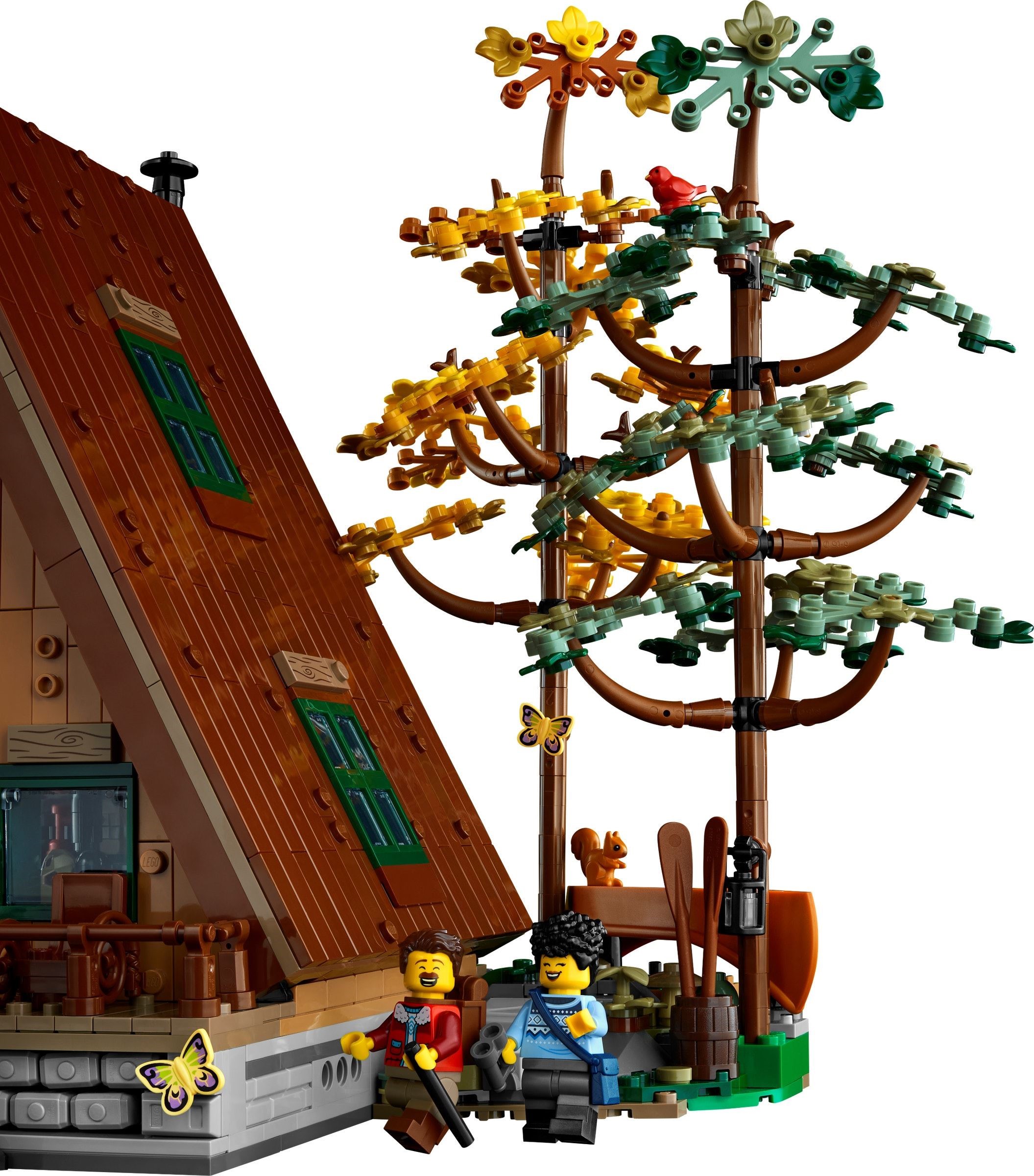 LEGO 21338 �������� �����
