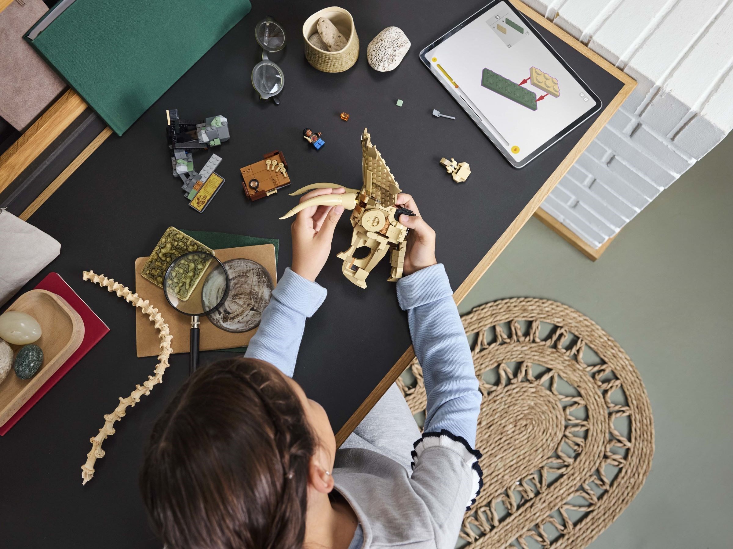 ����������� LEGO 76969 - ���� ������������ ����������: ����� ������������
