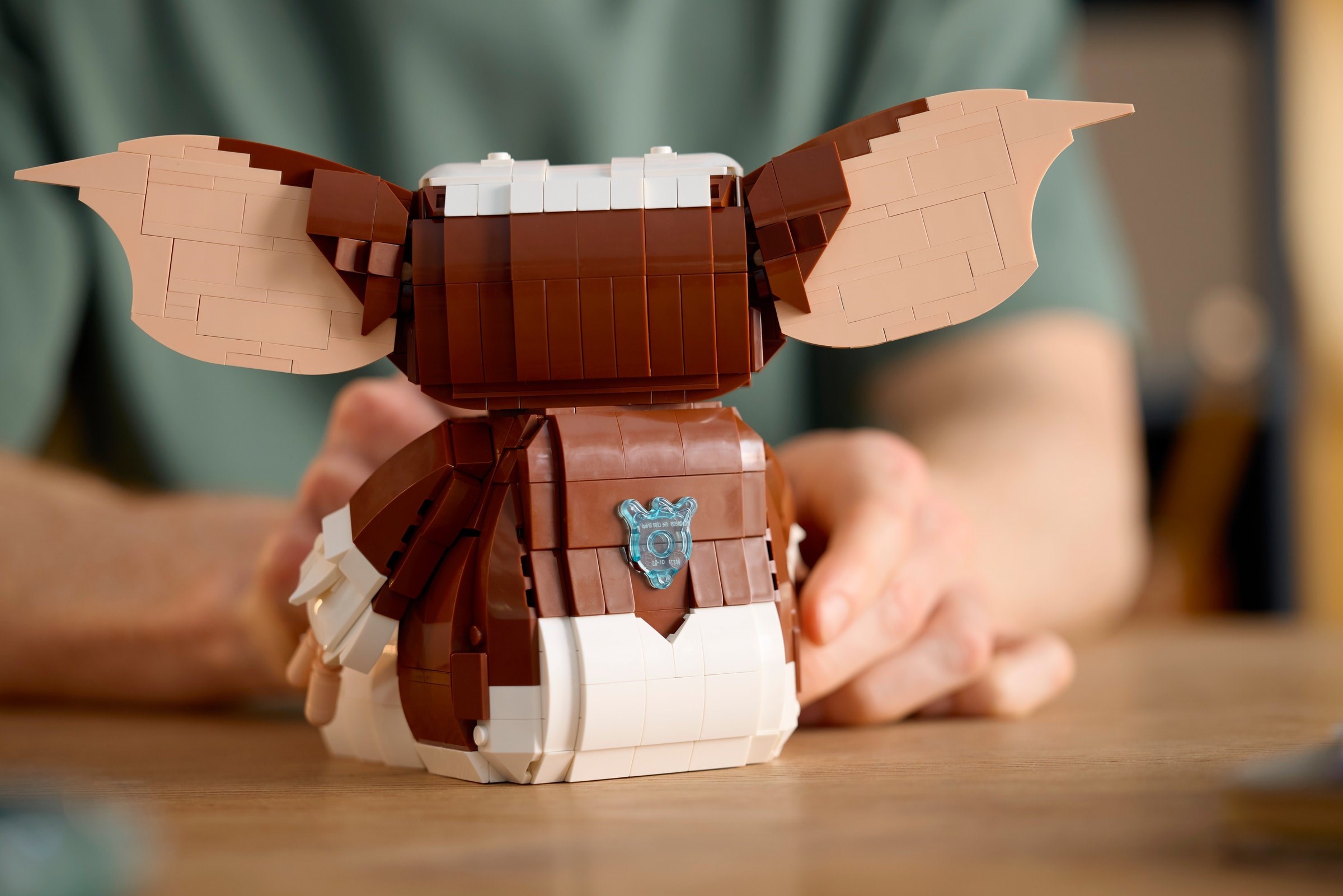 ����������� LEGO 21361 - ���� ��������: �����