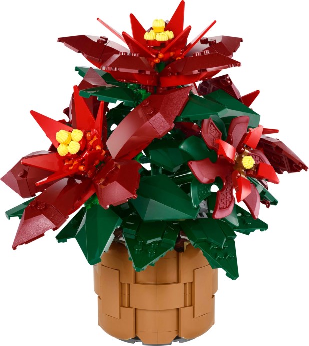 ����������� LEGO 10370 - ���� ����������