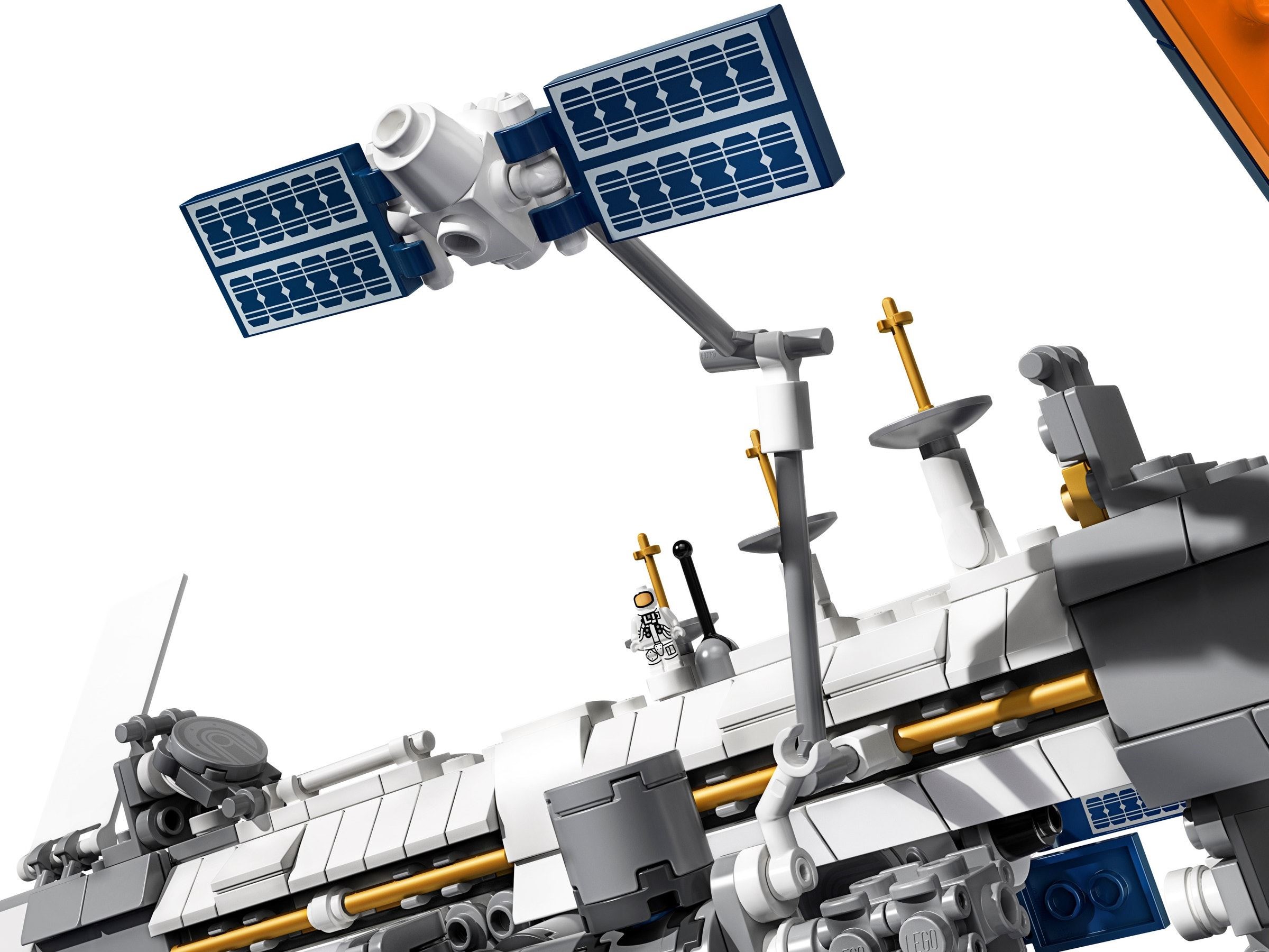 ����������� LEGO 21321 - ���� ������������� ����������� �������