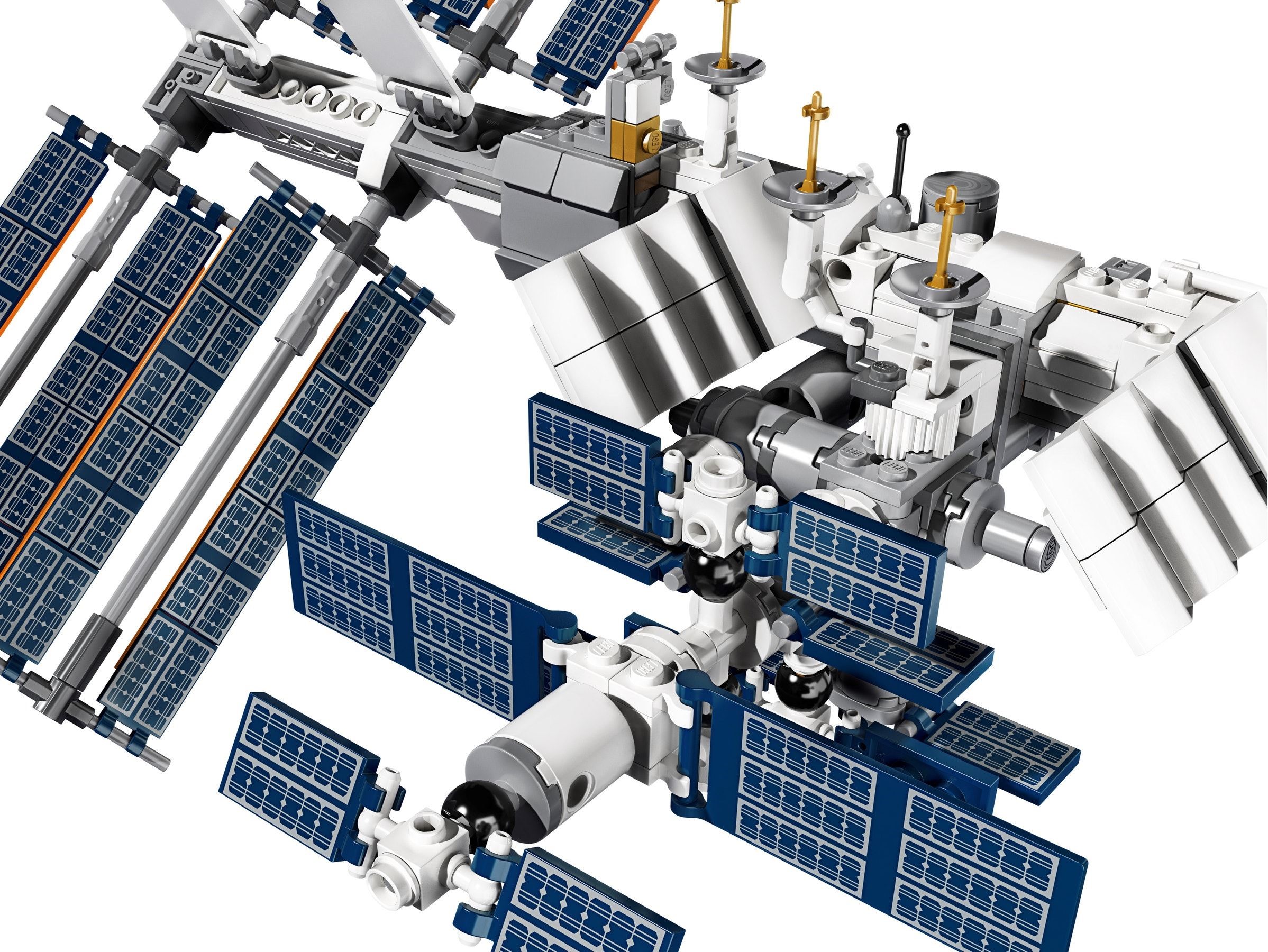����������� LEGO 21321 - ���� ������������� ����������� �������
